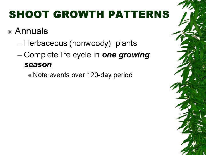 SHOOT GROWTH PATTERNS Annuals – Herbaceous (nonwoody) plants – Complete life cycle in one