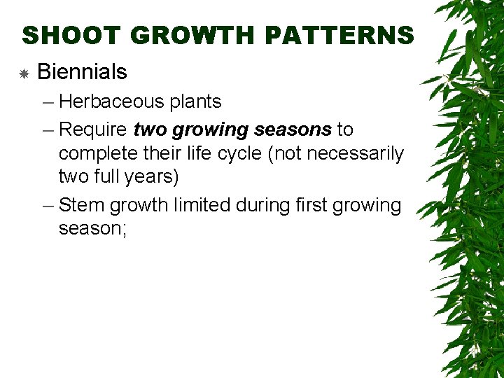 SHOOT GROWTH PATTERNS Biennials – Herbaceous plants – Require two growing seasons to complete