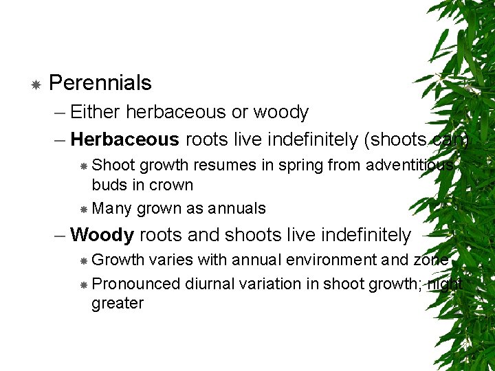  Perennials – Either herbaceous or woody – Herbaceous roots live indefinitely (shoots can)