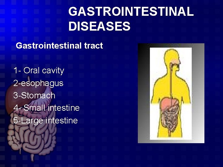 GASTROINTESTINAL DISEASES Gastrointestinal tract 1 - Oral cavity 2 -esophagus 3 -Stomach 4 -