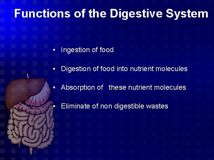 Functions of the Digestive System • Ingestion of food • Digestion of food into