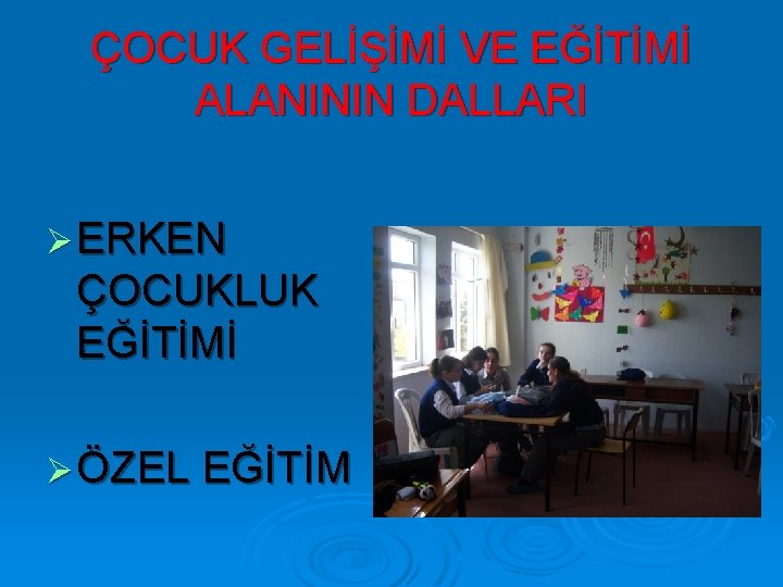 ÇOCUK GELİŞİMİ VE EĞİTİMİ ALANININ DALLARI Ø ERKEN ÇOCUKLUK EĞİTİMİ Ø ÖZEL EĞİTİM 