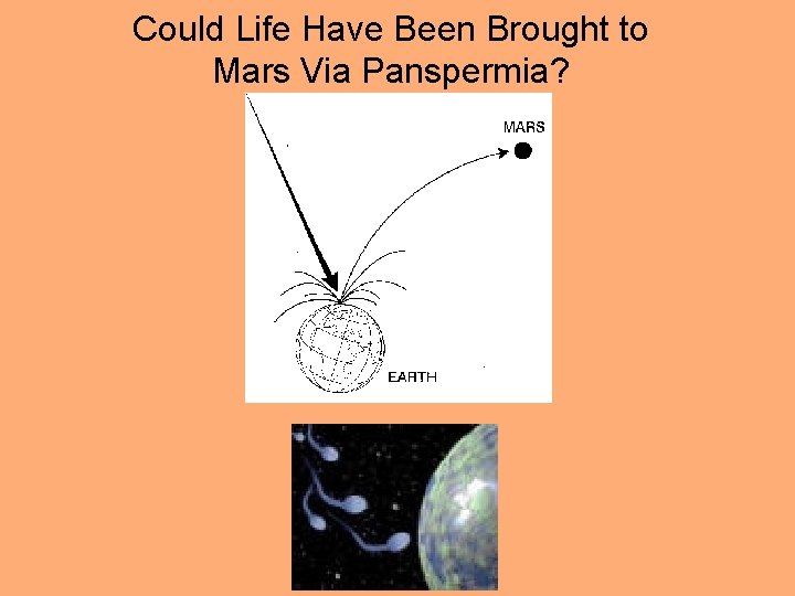 Could Life Have Been Brought to Mars Via Panspermia? 