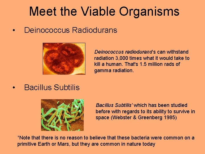 Meet the Viable Organisms • Deinococcus Radiodurans Deinococcus radiodurans's can withstand radiation 3, 000