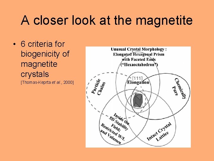 A closer look at the magnetite • 6 criteria for biogenicity of magnetite crystals