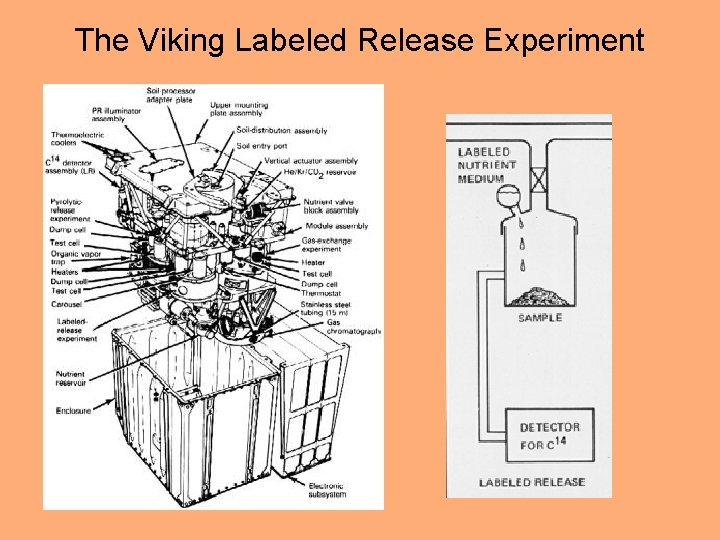 The Viking Labeled Release Experiment 