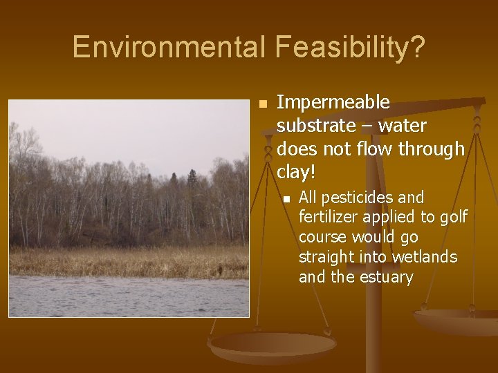 Environmental Feasibility? n Impermeable substrate – water does not flow through clay! n All