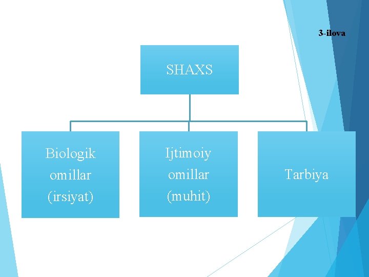 3 -ilova SHAXS Biologik omillar (irsiyat) Ijtimoiy omillar (muhit) Tarbiya 