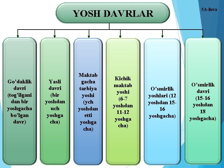 YOSH DAVRLAR Go’daklik davri (tog’ilgani dan bir yoshgacha bo’lgan davr) Yasli davri (bir yoshdan