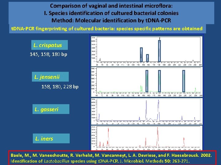 Comparison of vaginal and intestinal microflora: I. Species identification of cultured bacterial colonies Method: