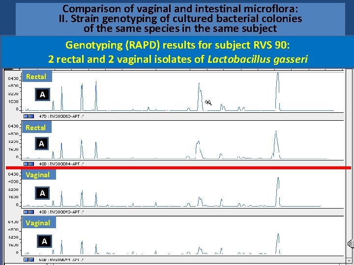 Comparison of vaginal and intestinal microflora: II. Strain genotyping of cultured bacterial colonies of