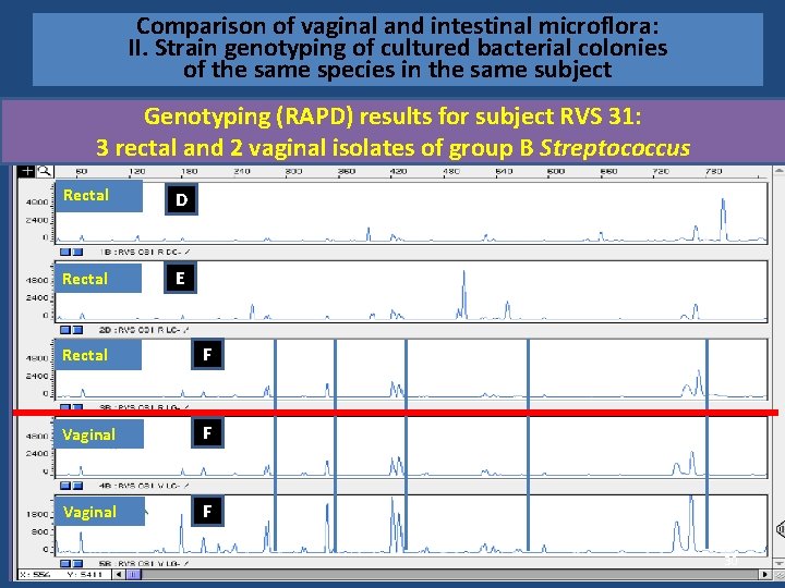 Comparison of vaginal and intestinal microflora: II. Strain genotyping of cultured bacterial colonies of