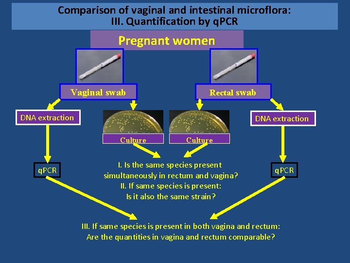 Comparison of vaginal and intestinal microflora: III. Quantification by q. PCR Pregnant women Vaginal