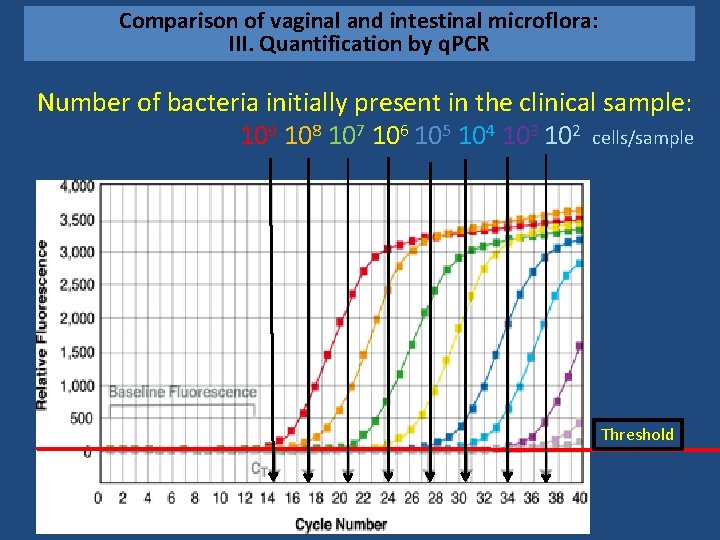 Comparison of vaginal and intestinal microflora: III. Quantification by q. PCR Number of bacteria