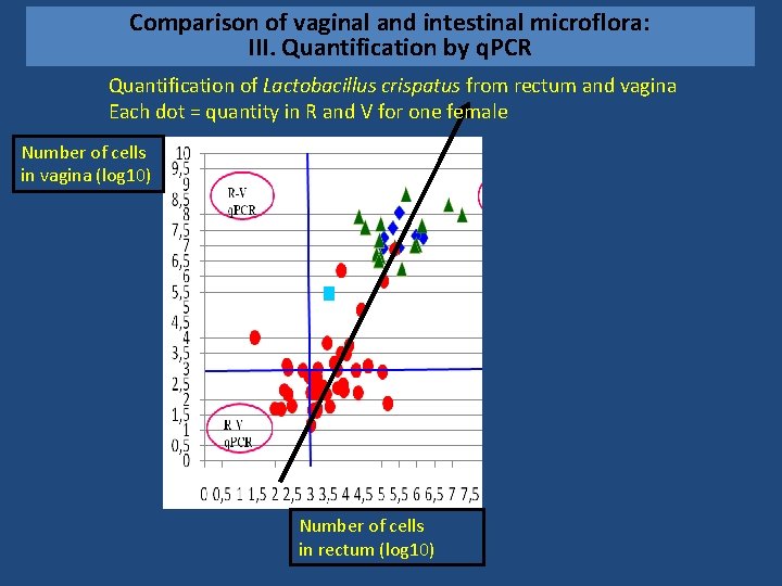 Comparison of vaginal and intestinal microflora: III. Quantification by q. PCR Quantification of Lactobacillus