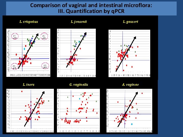 Comparison of vaginal and intestinal microflora: III. Quantification by q. PCR L. crispatus L.