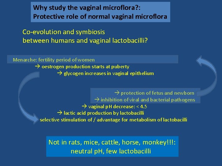 Why study the vaginal microflora? : Protective role of normal vaginal microflora Co-evolution and