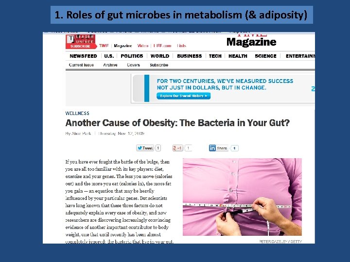 1. Roles of gut microbes in metabolism (& adiposity) 