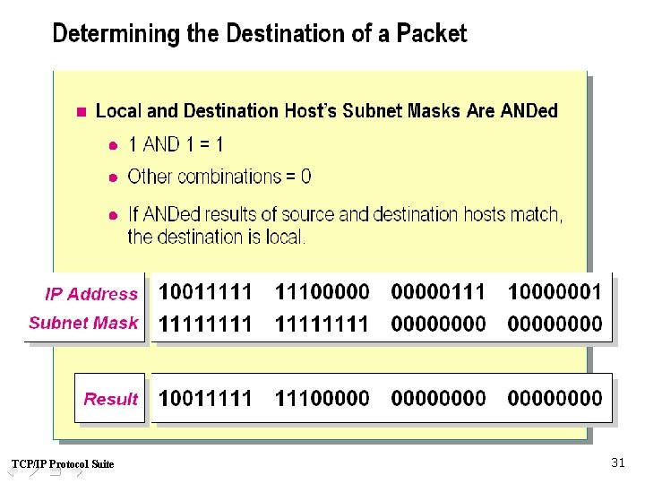 TCP/IP Protocol Suite 31 
