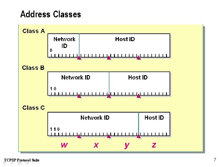 TCP/IP Protocol Suite 7 