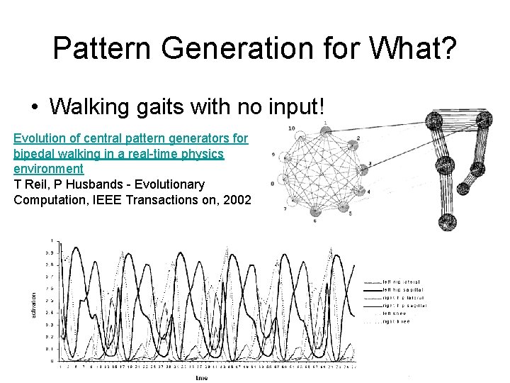 Pattern Generation for What? • Walking gaits with no input! Evolution of central pattern
