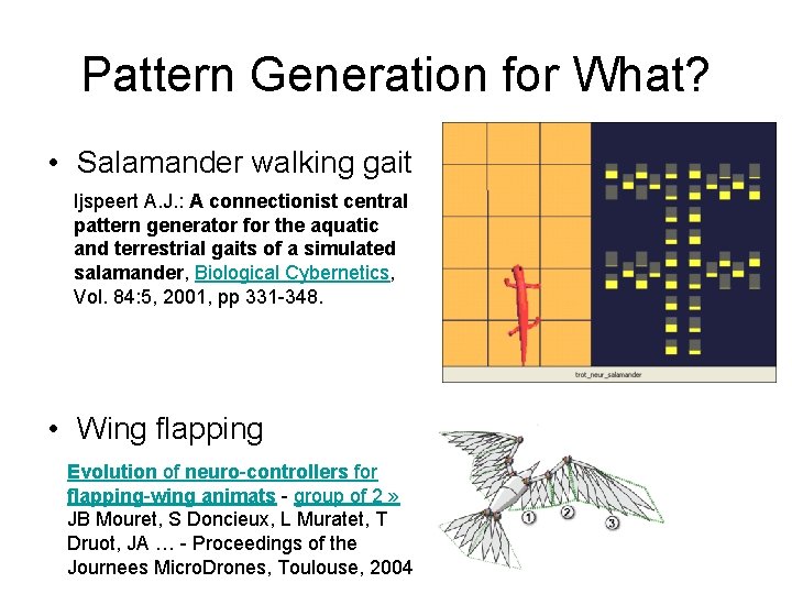 Pattern Generation for What? • Salamander walking gait Ijspeert A. J. : A connectionist
