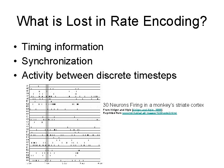  What is Lost in Rate Encoding? • Timing information • Synchronization • Activity