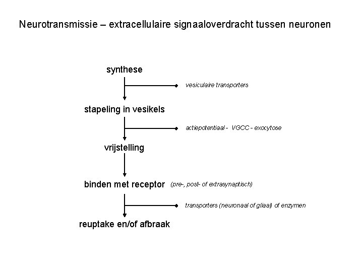 Neurotransmissie – extracellulaire signaaloverdracht tussen neuronen synthese vesiculaire transporters stapeling in vesikels actiepotentiaal -