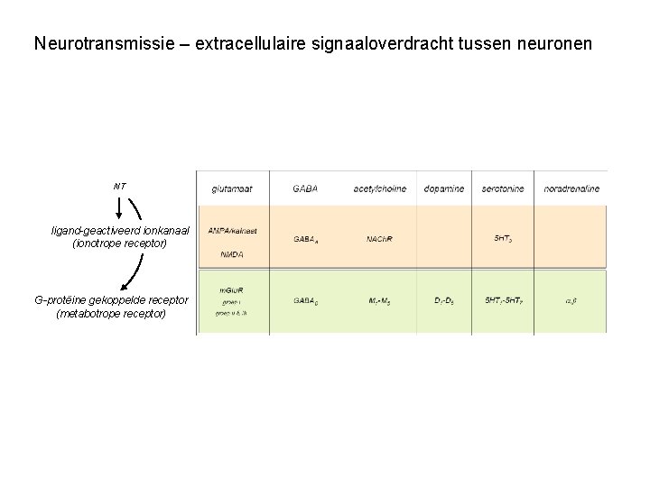 Neurotransmissie – extracellulaire signaaloverdracht tussen neuronen NT ligand-geactiveerd ionkanaal (ionotrope receptor) G-protëine gekoppelde receptor