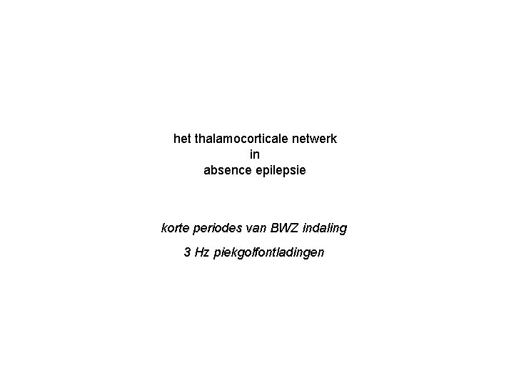 het thalamocorticale netwerk in absence epilepsie korte periodes van BWZ indaling 3 Hz piekgolfontladingen