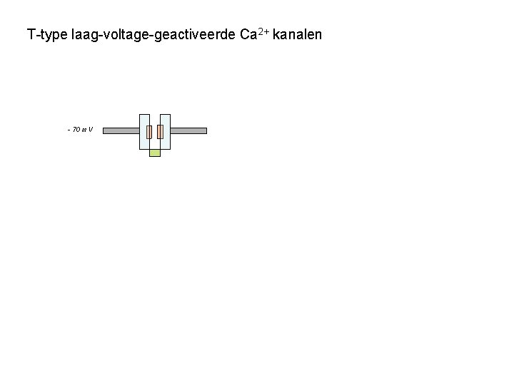 T-type laag-voltage-geactiveerde Ca 2+ kanalen GABA / IPSP - 70 m. V - 90