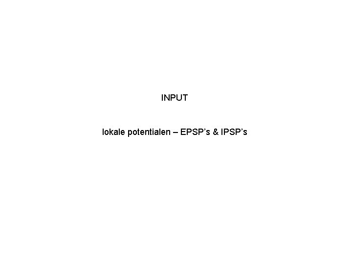 INPUT lokale potentialen – EPSP’s & IPSP’s 