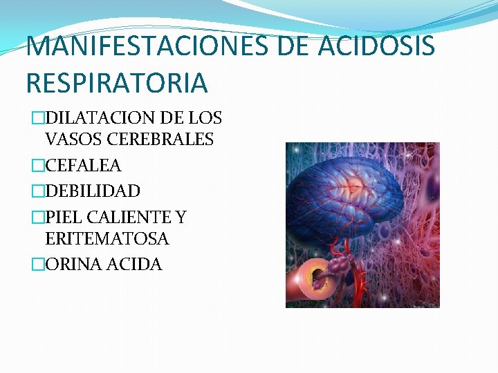 MANIFESTACIONES DE ACIDOSIS RESPIRATORIA �DILATACION DE LOS VASOS CEREBRALES �CEFALEA �DEBILIDAD �PIEL CALIENTE Y