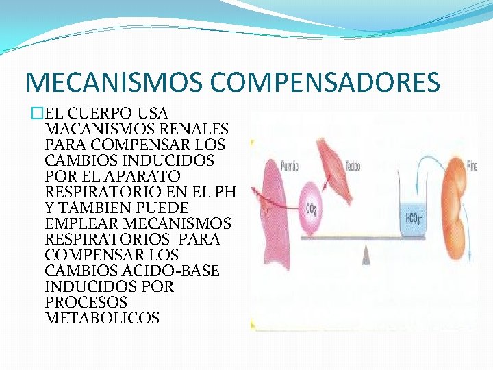 MECANISMOS COMPENSADORES �EL CUERPO USA MACANISMOS RENALES PARA COMPENSAR LOS CAMBIOS INDUCIDOS POR EL