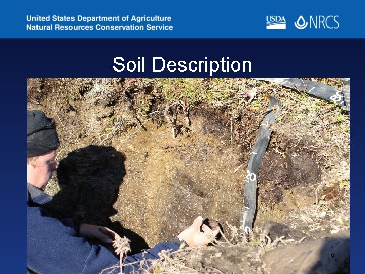 Soil Description 19 