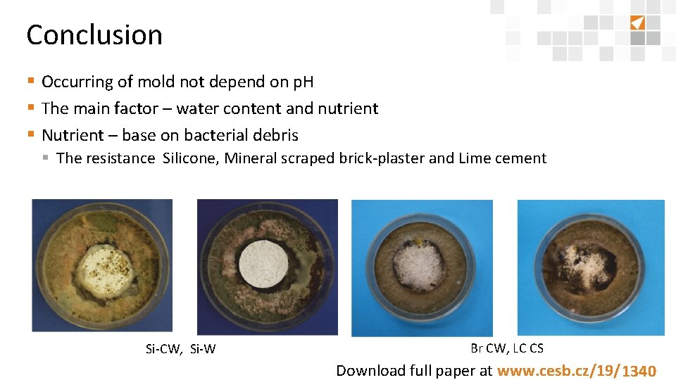 Conclusion § Occurring of mold not depend on p. H § The main factor