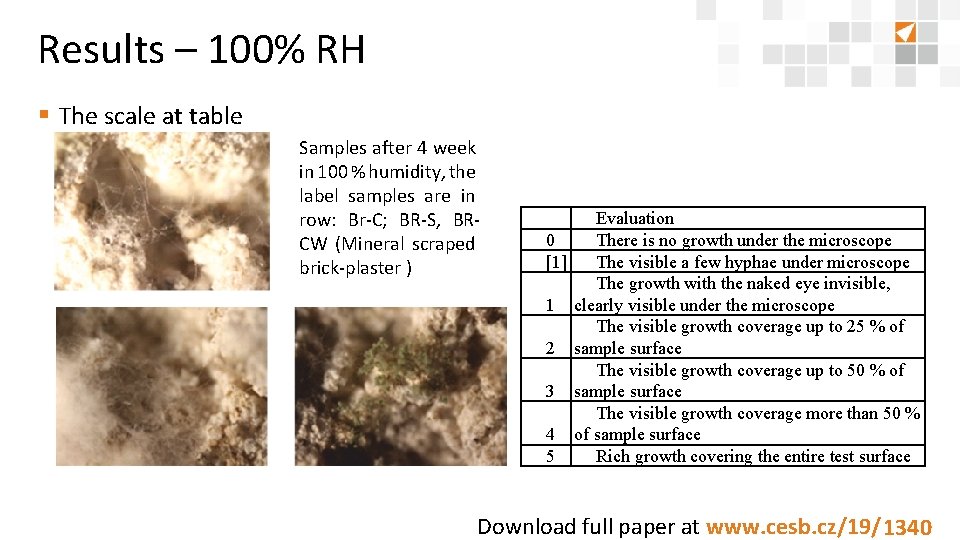 Results – 100% RH § The scale at table Samples after 4 week in