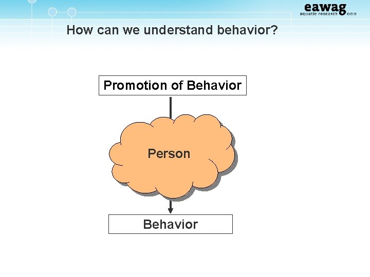 How can we understand behavior? Promotion of Behavior Person Behavior 