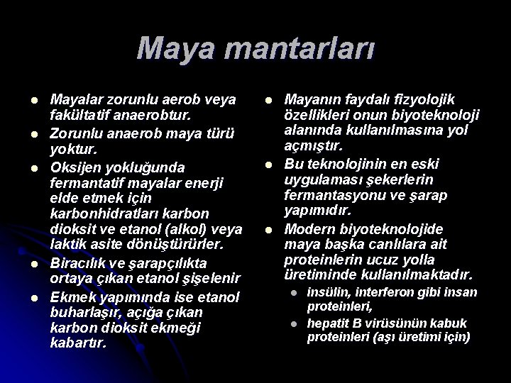 Maya mantarları l l l Mayalar zorunlu aerob veya fakültatif anaerobtur. Zorunlu anaerob maya