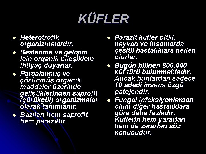 KÜFLER l l Heterotrofik organizmalardır. Beslenme ve gelişim için organik bileşiklere ihtiyaç duyarlar. Parçalanmış