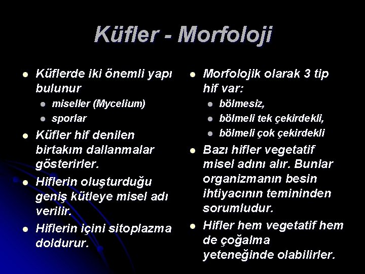 Küfler - Morfoloji l Küflerde iki önemli yapı bulunur l l l miseller (Mycelium)