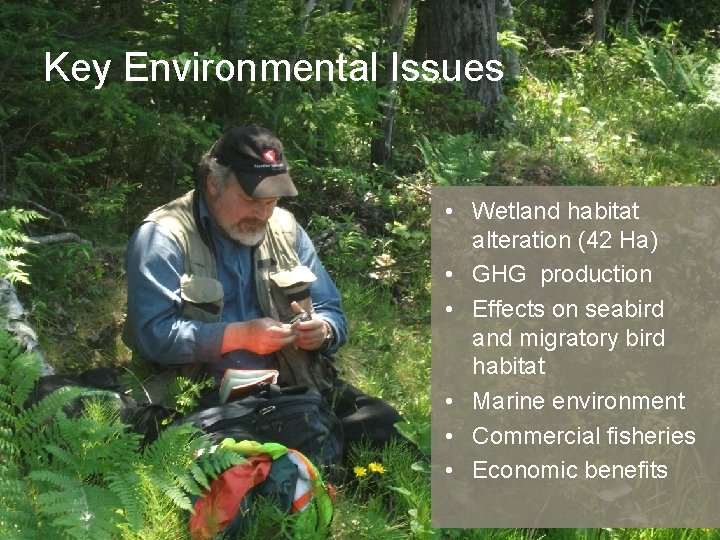 Key Environmental Issues • Wetland habitat alteration (42 Ha) • GHG production • Effects