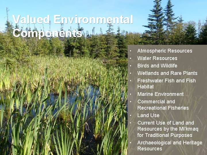 Valued Environmental Components • • • Atmospheric Resources Water Resources Birds and Wildlife Wetlands