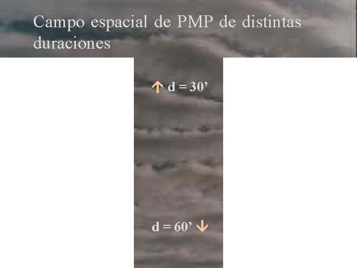 Campo espacial de PMP de distintas duraciones d = 30’ d = 60’ 