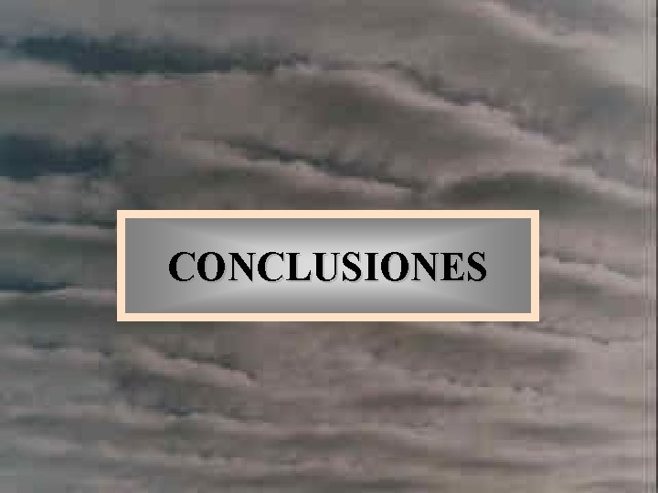 CONCLUSIONES 