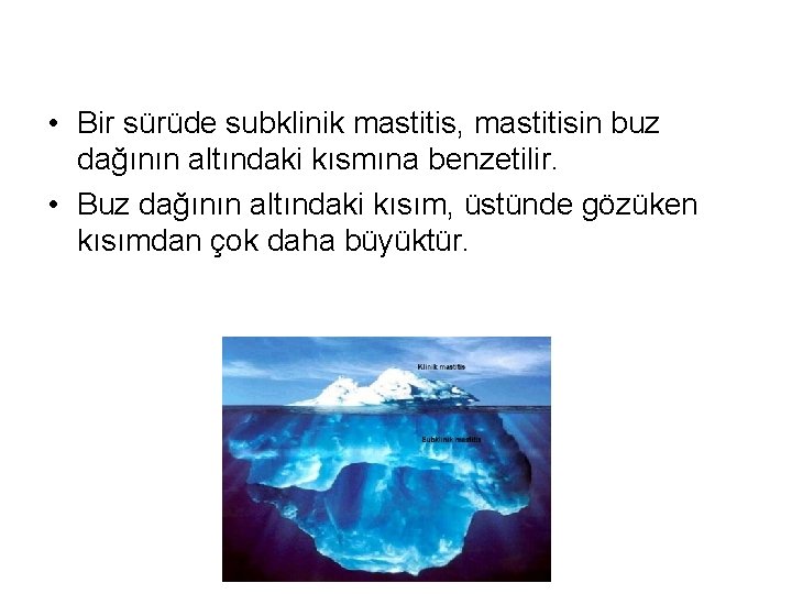  • Bir sürüde subklinik mastitis, mastitisin buz dağının altındaki kısmına benzetilir. • Buz