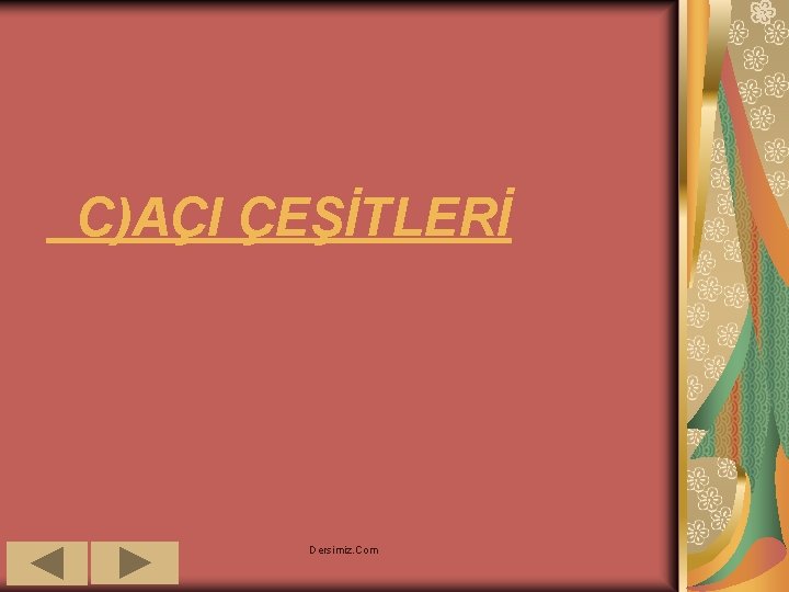 C)AÇI ÇEŞİTLERİ Dersimiz. Com 