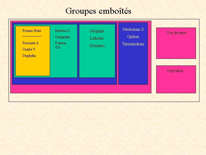 Groupes emboîtés Fourmi Noire Procruste A Carabe V Isotoma O Géophile Neobisium S Campodea