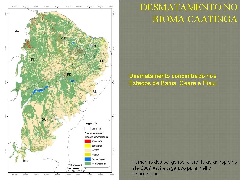 DESMATAMENTO NO BIOMA CAATINGA Desmatamento concentrado nos Estados de Bahia, Ceará e Piauí. Tamanho