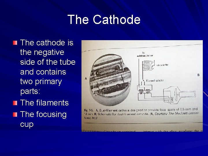 The Cathode The cathode is the negative side of the tube and contains two